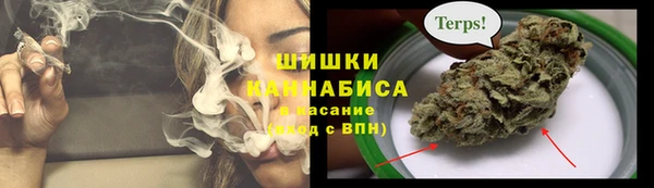 прущий лед Арсеньев