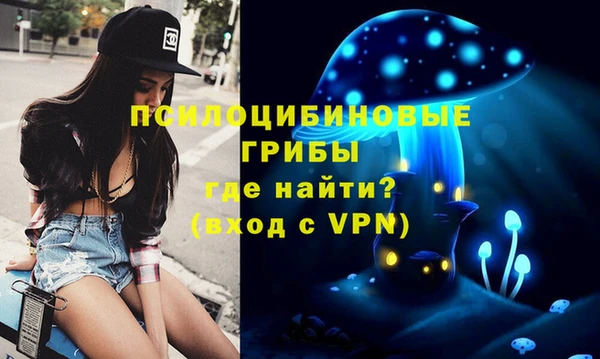 дживик Наволоки