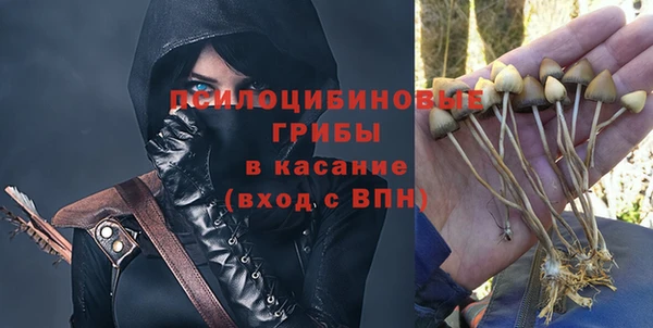 прущий лед Арсеньев